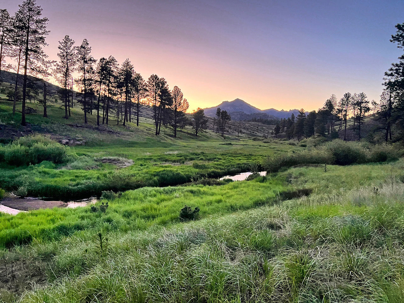 Beautiful Landscape at Pikes Peak Ranch